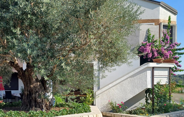 Apartament - Rab - Palit , Chorwacja - CKR938 101