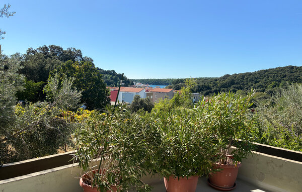 Apartament - Rab - Palit , Chorwacja - CKR938 201