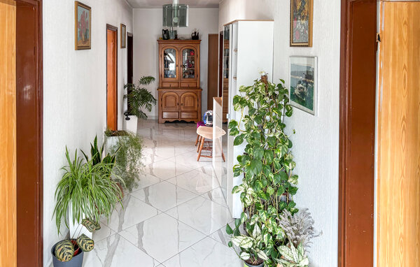 Apartament - Rab-Kampor , Chorwacja - CKR976 501