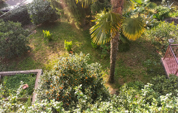 Appartamento - Opatija-Lovran , Croazia - CKU468 101
