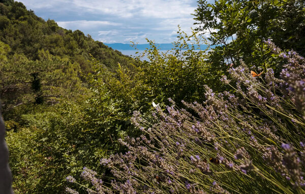 Appartement - Opatija - Brsec , Kroatië - CKU590 201