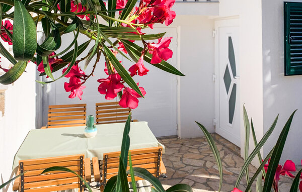 Apartment - Karlobag-Cesarica , Croatia - CKV787 102