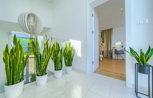 Holiday Home - Makarska-Baska Voda , Croatia - CLD189 502