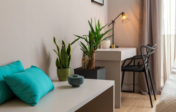Vacation home Villa Scallop