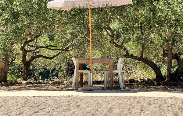 Ferienhaus - Hvar-Stari Grad , Kroatien - CLD439 106