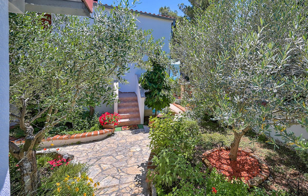 Domy wakacyjne - Zadar-Posedarje , Chorwacja - CLD677 109