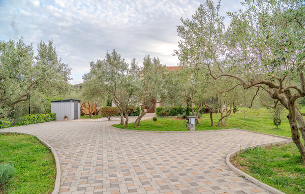 Kuća-za-odmor - Pasman-Tkon , Hrvatska - CLD693 106