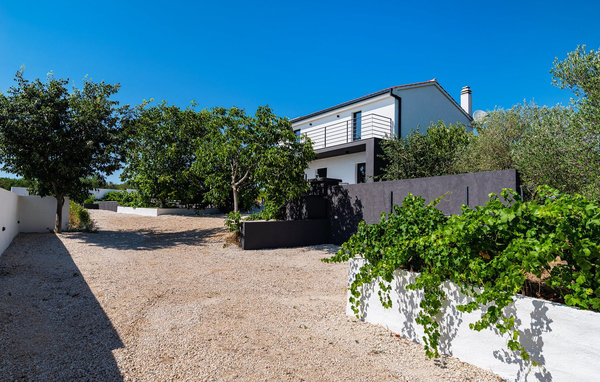 Domy wakacyjne - Zadar-Crno , Chorwacja - CLD698 83