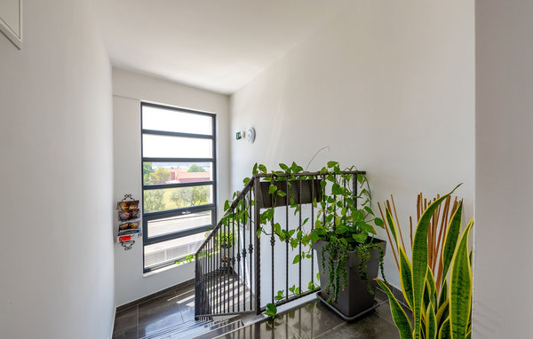Feriehuse - Biograd-Filip i Jakov , Kroatien - CLD758 501