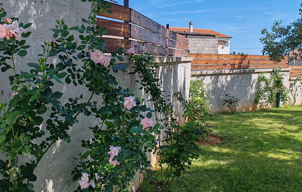 Casa vacanze - Zadar , Croazia - CLD819 107