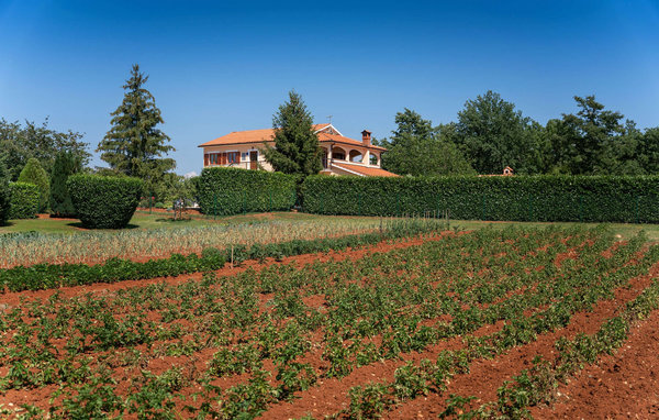 Feriehuse - Visnjan , Kroatien - CLI067 104