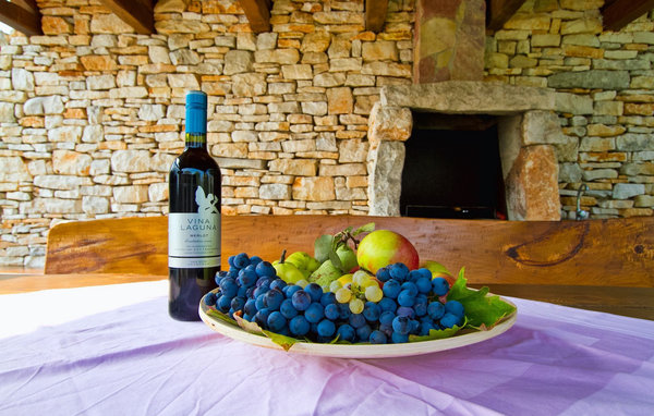 Feriehuse - Tinjan-Kringa , Kroatien - CLI268 101