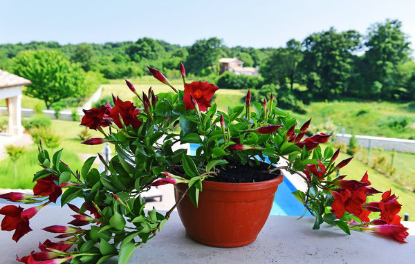 Feriehus - Tinjan , Kroatia - CLI301 86