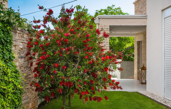 Ferienhaus - Rovinj-Rovinjsko Selo , Kroatien - CLI477 106