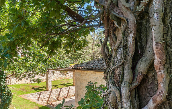 Ferienhaus Villa Anneliese