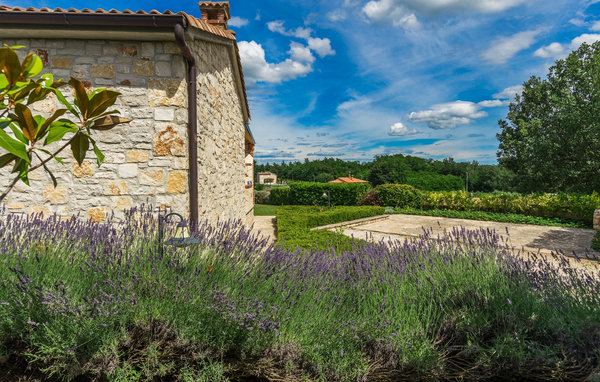 Kuća-za-odmor - Visnjan-Vizinada , Hrvatska - CLI500 105
