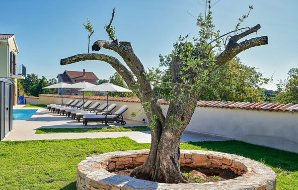 Feriehuse - Svetvincenat-Cukrici , Kroatien - CLI605 104
