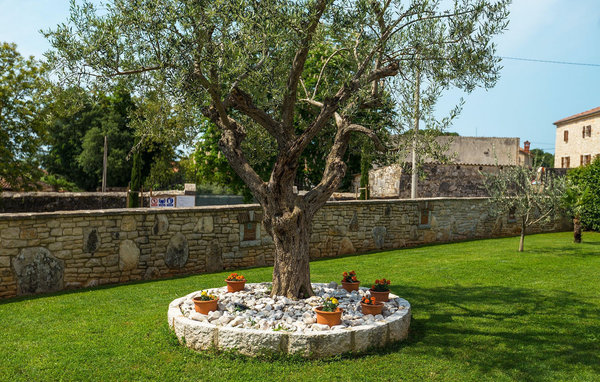 Feriehuse - Porec , Kroatien - CLI978 104