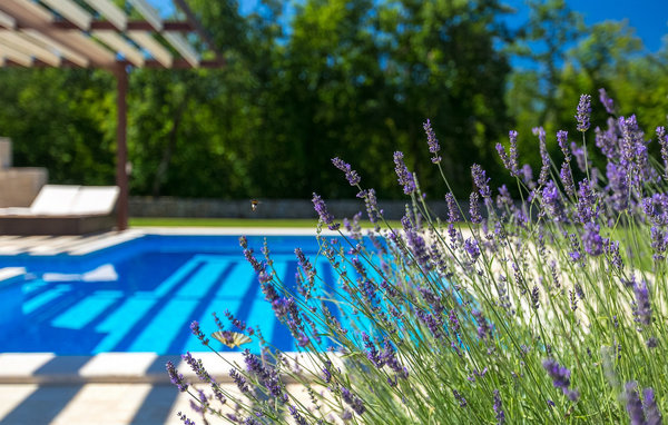 Vacation home Villa Funcici