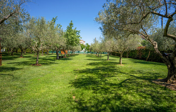 Holiday Home - Buje-Brtonigla , Croatia - CLS106 107