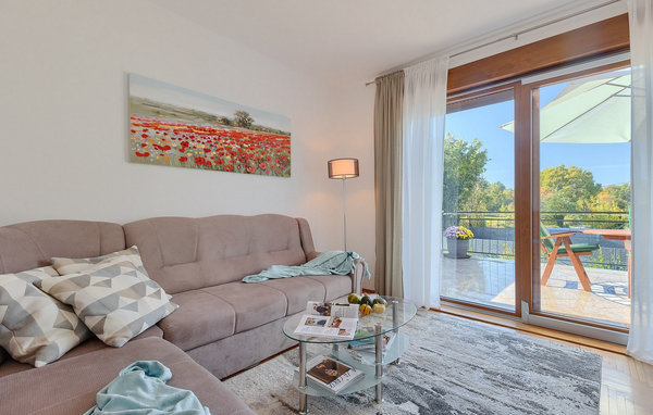 Domy wakacyjne - Labin-Krsan , Chorwacja - CLS261 304
