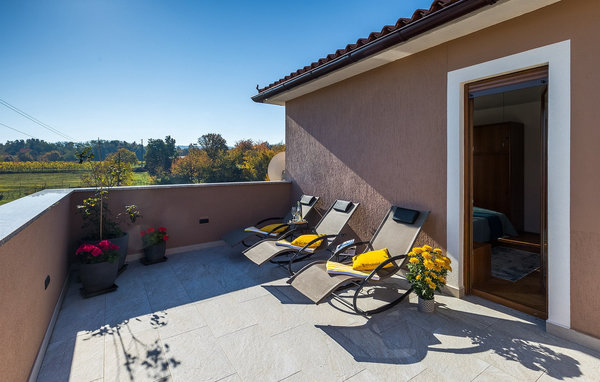 Domy wakacyjne - Labin-Krsan , Chorwacja - CLS261 102