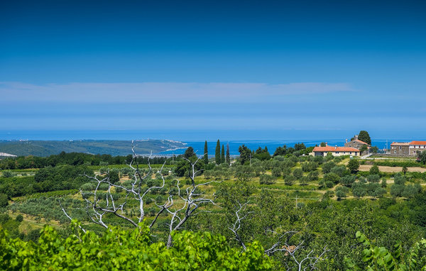 Vakantiehuis - Umag , Kroatië - CLS284 202