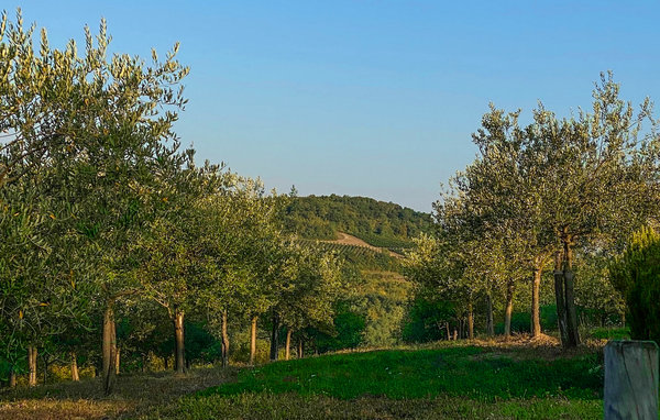 Domy wakacyjne - Brkac , Chorwacja - CLS316 902