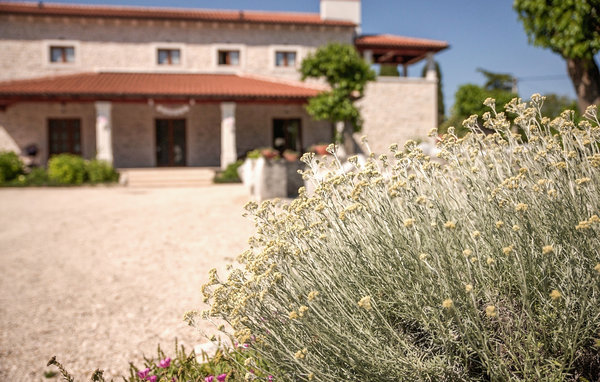 Ferienhaus - Kanfanar , Kroatien - CLS366 82