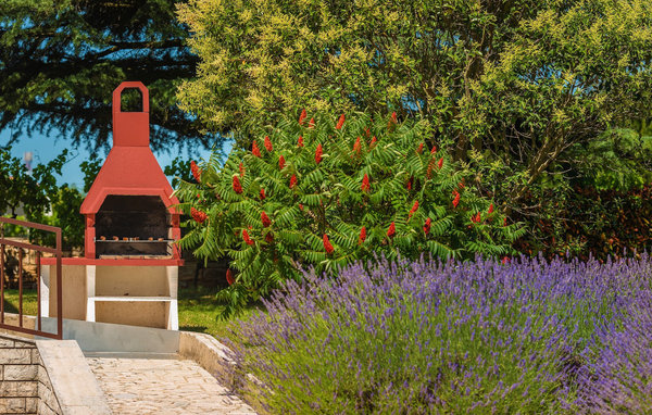 Feriehuse - Svetvincenat , Kroatien - CLS373 103