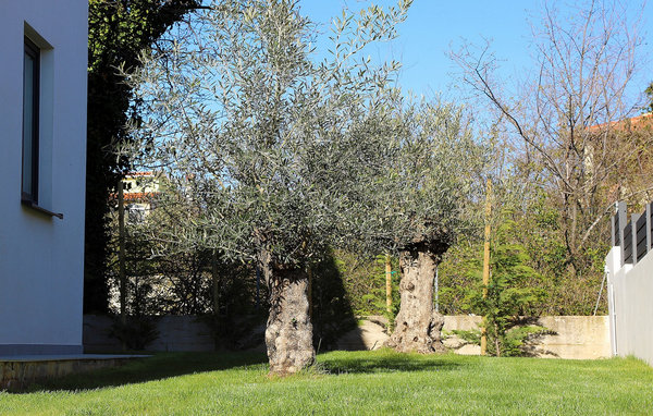 Dům Villa Rosarol