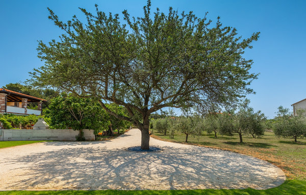Ferienhaus - Pula , Kroatien - CLS459 105
