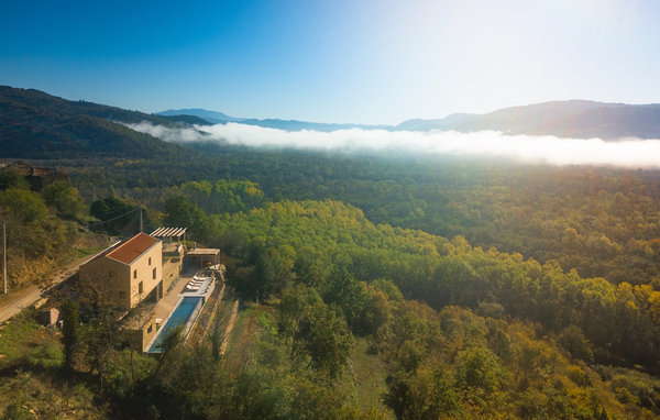 Domy wakacyjne - Motovun-Oprtalj , Chorwacja - CLS533 83