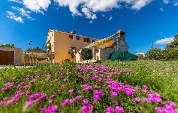 Domy wakacyjne - Pula , Chorwacja - CLS548 84