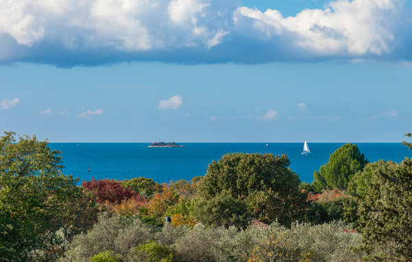 Ferienhaus - Fazana-Peroj , Kroatien - CLS558 901