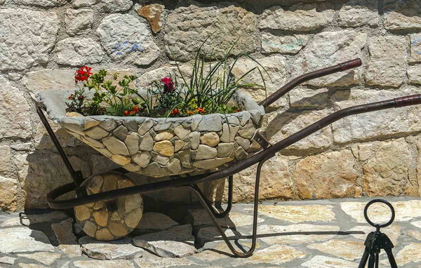 Domy wakacyjne - Porec , Chorwacja - CLS816 102