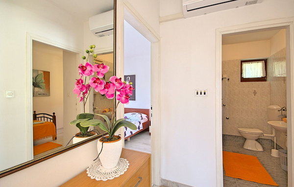 Apartamento - Sveti Lovrec , Croacia - CLS817 601