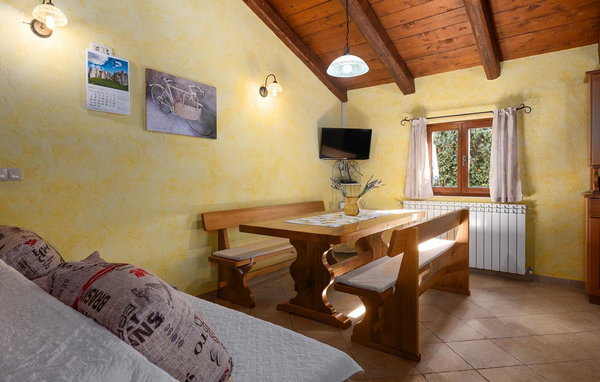 Domy wakacyjne - Visnjan , Chorwacja - CLS885 601