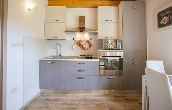 Domy wakacyjne - Motovun , Chorwacja - CLS964 402