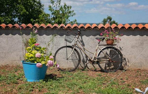 Domy wakacyjne - Labin , Chorwacja - CLS976 102
