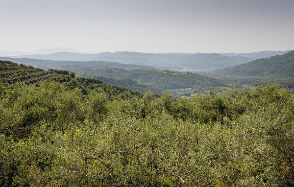 Holiday Home - Buzet , Croatia - CLT206 201
