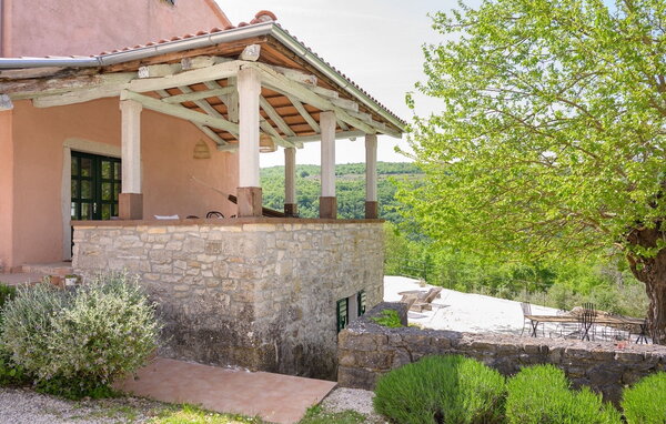 Domy wakacyjne - Motovun , Chorwacja - CLT288 103
