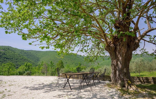 Domy wakacyjne - Motovun , Chorwacja - CLT288 105