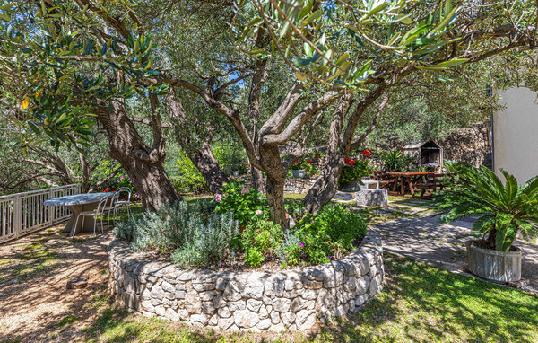 Semesterlägenhet - Makarska , Kroatien - CSC850 101