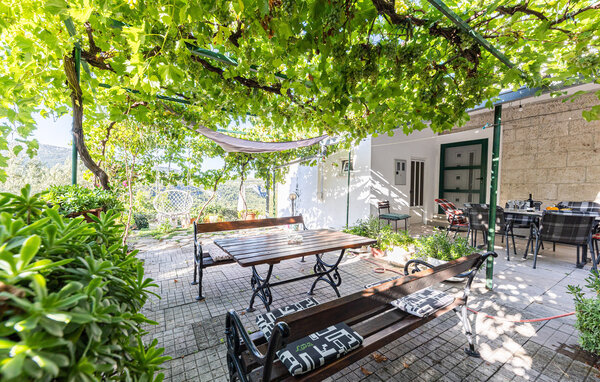 Domy wakacyjne - Makarska - Gornja Brela , Chorwacja - CSC863 3