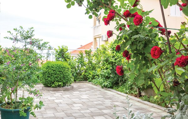 Ferienwohnung - Makarska , Kroatien - CSC934 102