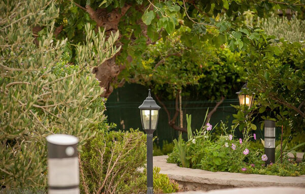 Appartamento - Brac - Bol , Croazia - CSD081 103