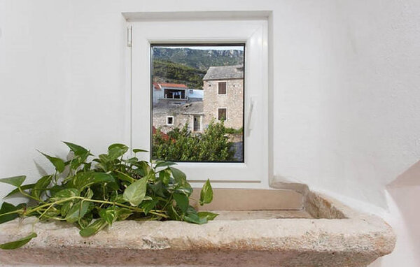 Apartment - Brac - Bol , Croatia - CSD082 501