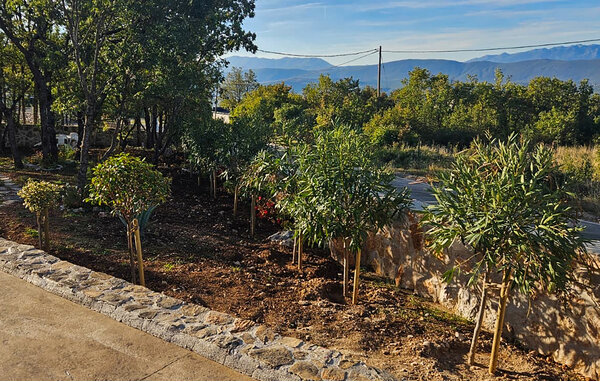 Feriehus - Makarska-Imotski , Kroatia - CSD099 103