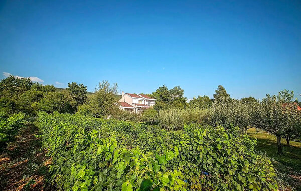 Domy wakacyjne - Makarska-Donji Prolozac , Chorwacja - CSD171 87